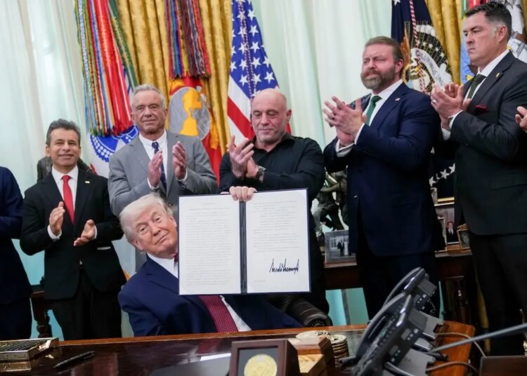 Trump indicators govt order to fast-track psychedelic drug analysis