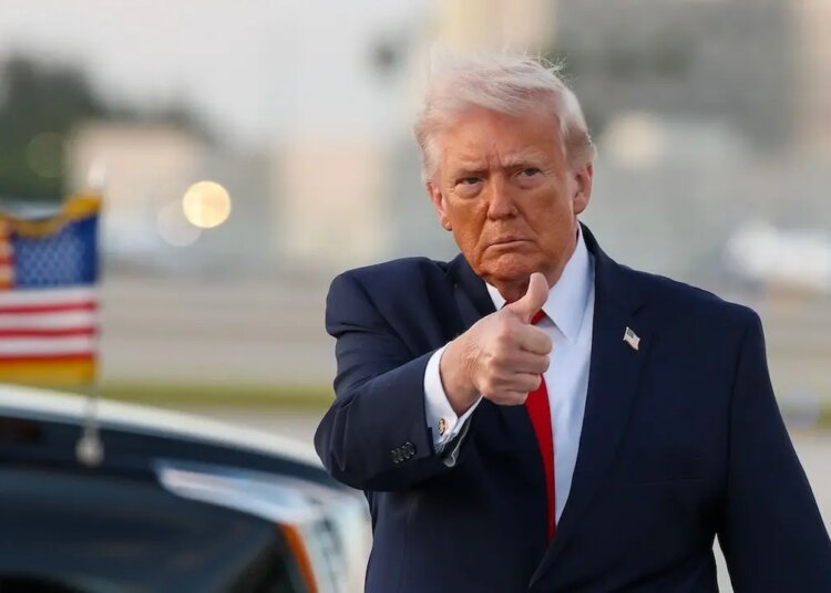 Trump attends UFC 327 in Miami after Iran warfare ceasefire settlement