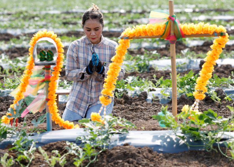 World faces meals ‘disaster’ if Strait of Hormuz disruption persists: FAO | Meals Information World faces meals ‘disaster’ if Strait of Hormuz disruption persists: FAO | Meals Information