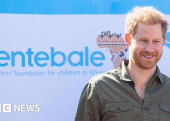 Prince Harry sued for defamation by charity Sentebale he co-founded – BBC