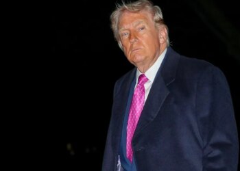 Trump indicators new govt order attacking mail-in voting: What to know