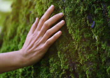 English nature competition makes the vital clarification that it isn’t for nudists