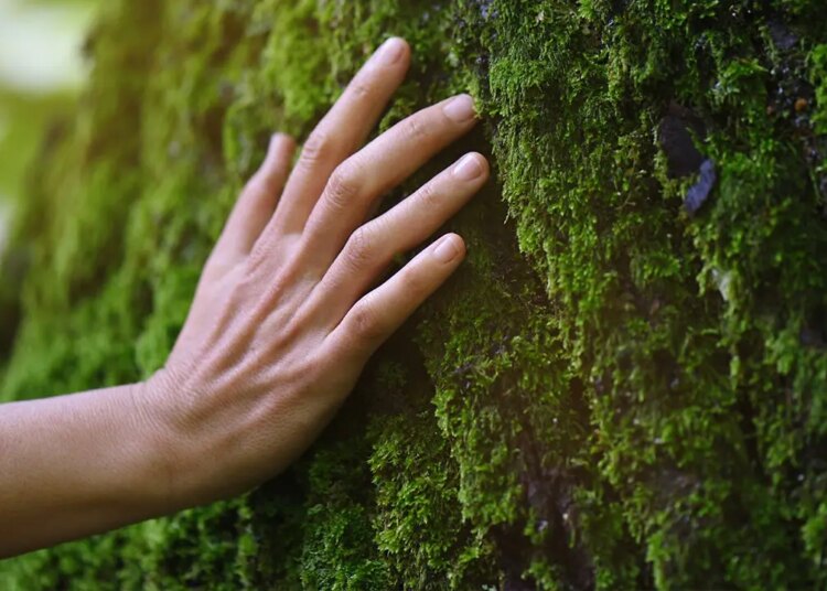 English nature competition makes the vital clarification that it isn’t for nudists