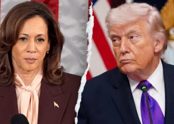 Harris-linked group urges younger liberals to cease calling Trump ‘TACO’