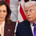 Harris-linked group urges younger liberals to cease calling Trump ‘TACO’