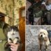 Cat and canine miracle drone rescue in war-torn Ukraine