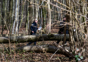 Younger mom, teen, child killed in Easter egg hunt tragedy