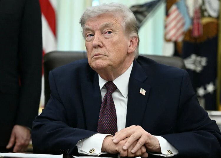 Resurfaced Reid and Feinstein birthright citizenship clips spark outrage