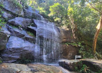 Rio gives trekking and swimming in an enormous city rain forest : NPR Rio gives trekking and swimming in an enormous city rain forest : NPR