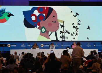 International locations collect in Colombia to debate phasing out fossil fuels : NPR