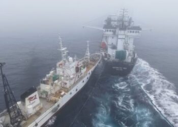 Activist’s group accused of ‘deliberate assault’ on Antarctic krill trawler