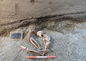 Digital reconstruction unveils face of historic Pompeii man utilizing AI