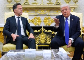 Trump complains about NATO after assembly with chief Rutte