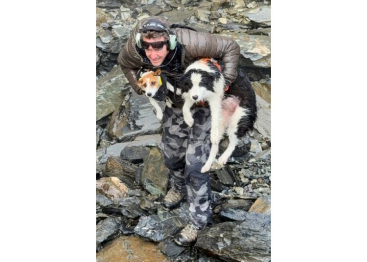 Canine survives week in New Zealand forest earlier than a helicopter rescue