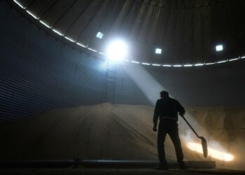 Midwest soybean farmers are squeezed additional by tariffs and Iran conflict