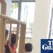 ‘Go inside, he’ll kill you’: Israeli militants step up West Financial institution faculty assaults | West Financial institution
