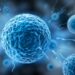 Twins’ Nagging Doubts on Paternity Result in Stunning Discover