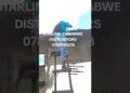 starlink Zimbabwe Distrubitors