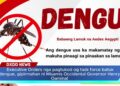 Government Orders nga pagtukod og process power batuk dengue, gipirmahan ni, Governor Henry Oaminal