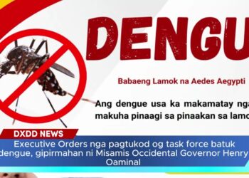 Government Orders nga pagtukod og process power batuk dengue, gipirmahan ni, Governor Henry Oaminal