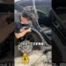 Tesla Rear Fender and Door Restoration