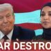 ‘Ought to’ve been a slapstick comedian’: Donald Trump hilariously roasts Ilhan Omar