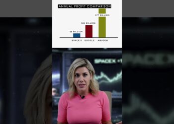 SpaceX Is Priced Like It Already Received. Has it? #information #house #starlink #shares #car #spacexipo
