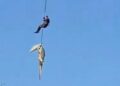 Police officer lowered into crocodile-infested river to get well human stays