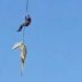 Police officer lowered into crocodile-infested river to get well human stays