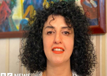 Calls develop over hospital take care of jailed Iranian Nobel laureate Narges Mohammadi