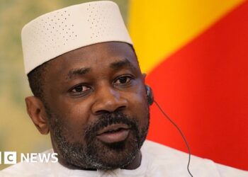 Assimi Goïta: Mali junta chief names himself defence minister after predecessor killed – BBC