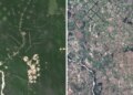 Bolivia’s deforestation disaster: Mennonite soy farming is fueling forest loss