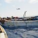 Strait of Hormuz disaster drives push to diversify world power routes