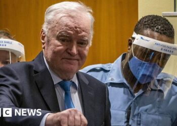 Struggle prison Ratko Mladic near dying, legal professionals in search of launch from jail say