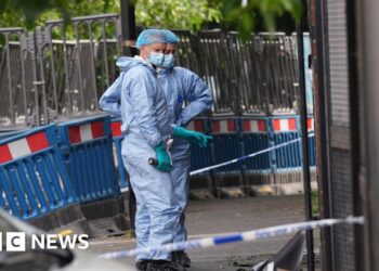 Counter-terror investigation into east London synagogue hearth – BBC