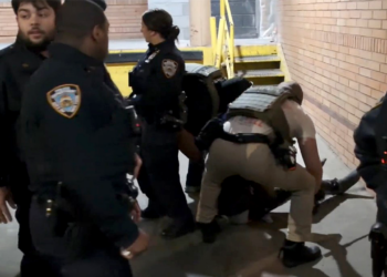 DHS says ICE arrested Nigerian nationwide in Brooklyn, sparking protests
