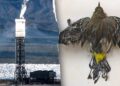 Taxpayer-backed Ivanpah photo voltaic plant kills birds and burns fossil fuels