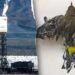 Taxpayer-backed Ivanpah photo voltaic plant kills birds and burns fossil fuels