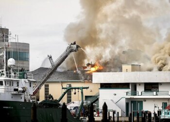 USF Marine Science Lab hearth leaves St. Petersburg constructing a ‘whole loss’
